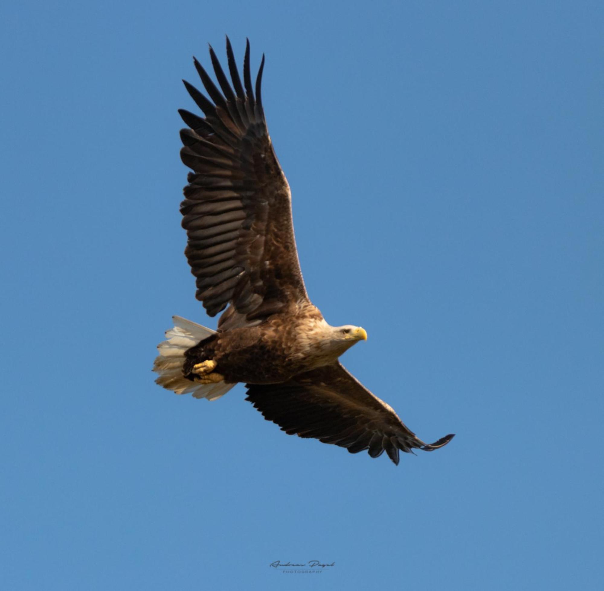 Fewo Seeadler - Heuser Prerow Ngoại thất bức ảnh